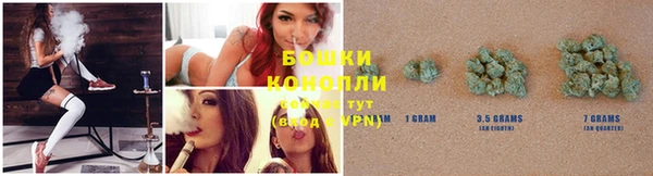 дурь Богородицк
