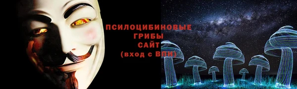дурь Богородицк