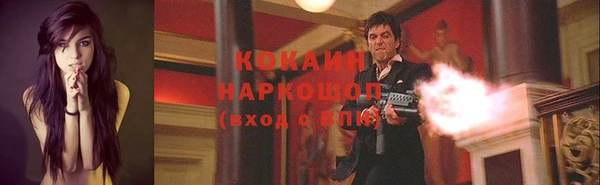 твердый Богородск