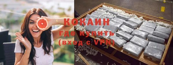 дживик Богданович