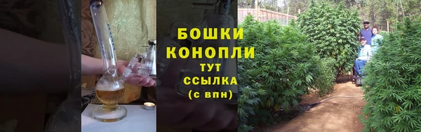 дурь Богородицк