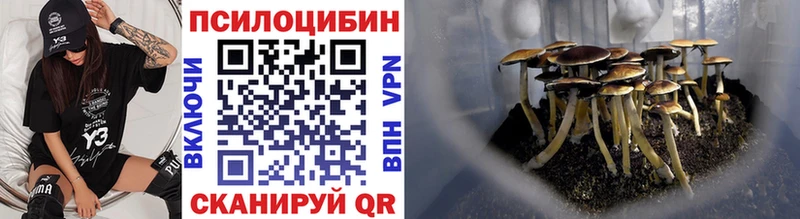 гидра   Мезень  Псилоцибиновые грибы мицелий  магазин  наркотиков 